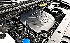 Caracteristicile tehnice ale motorului Kia Carnival și accelerația la 100