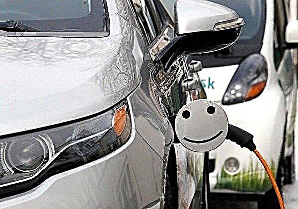 In Russia, they calculated the total number of sold electric vehicles
